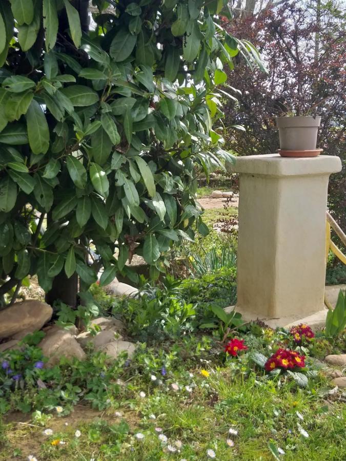 Lequio Tanaro Villa Amai المظهر الخارجي الصورة